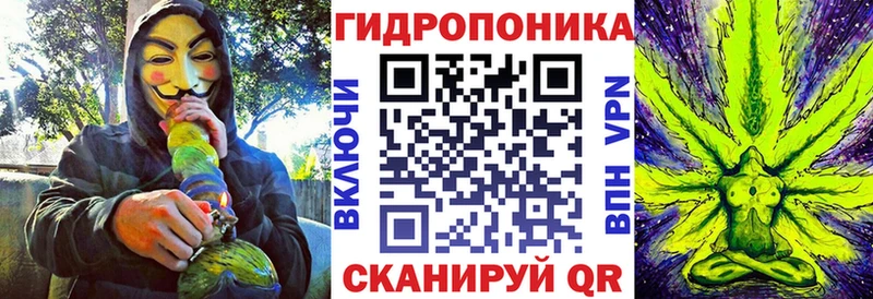 Купить закладку Гашиш  Псилоцибиновые грибы  Меф  Великий Устюг