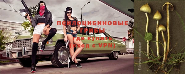 прущий лед Кукмор