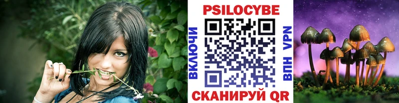 Псилоцибиновые грибы мухоморы  Купить закладки  Великий Устюг 