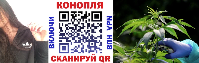 Канабис план  Купить закладки  Великий Устюг 